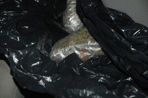 Pljevaljska policija u žbunju našla 30 kilograma skanka