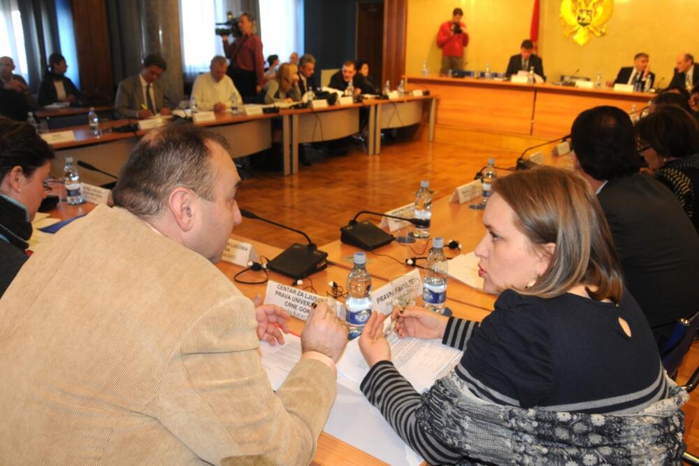 Odbor za ljudska prava, Foto: Boris Pejović