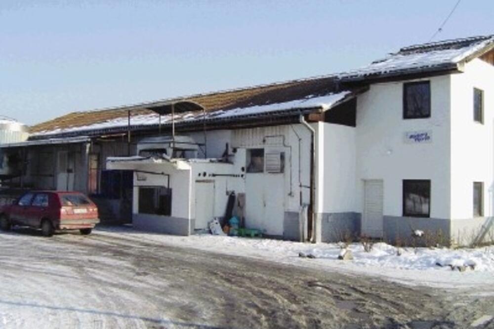 mocarela_1, Foto: G.Malidžan