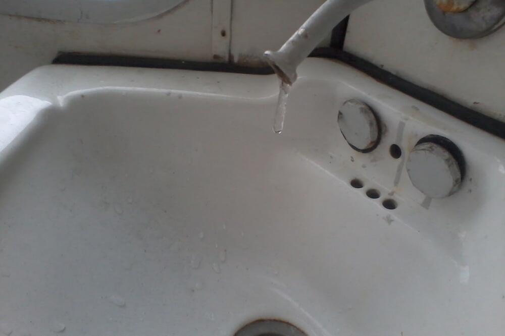 cesma voz, Foto: Miljan Andrović