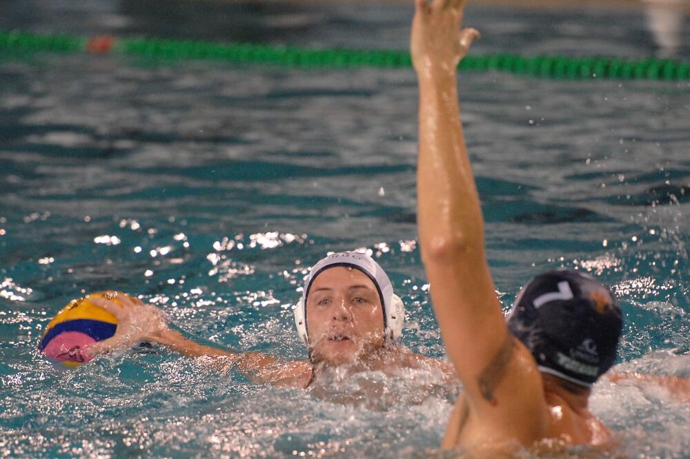 Azevedo, Foto: Zoran ĐURIĆ