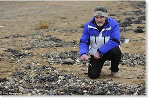U Engleskoj more izbacilo 40.000 uginulih rakova