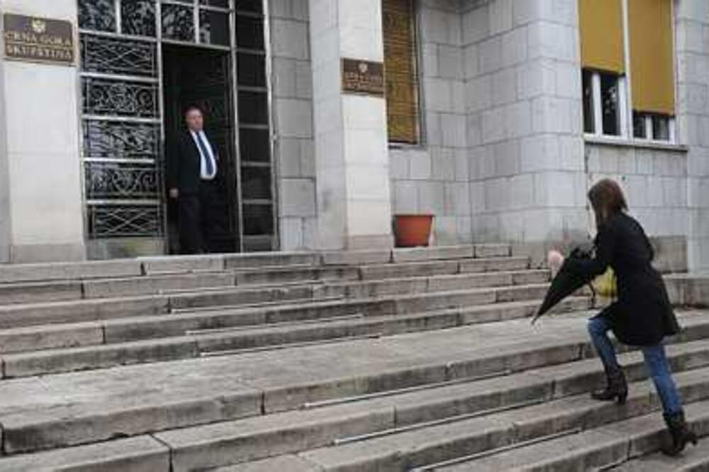 Skupština Crne Gore, Foto: Vijesti online