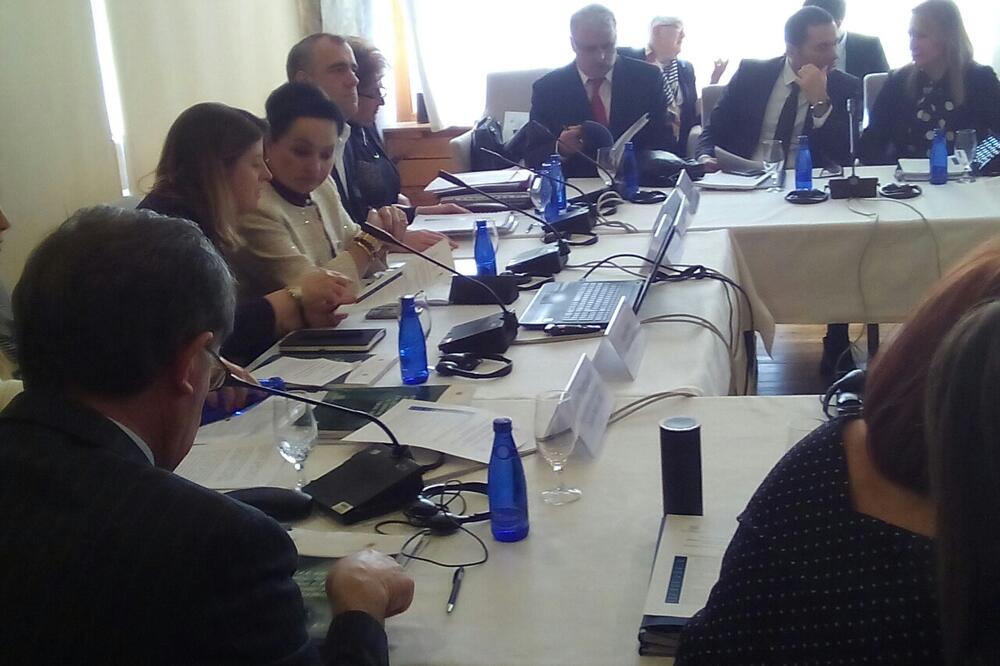 Sa okruglog stola, Foto: Dragana Šćepanović