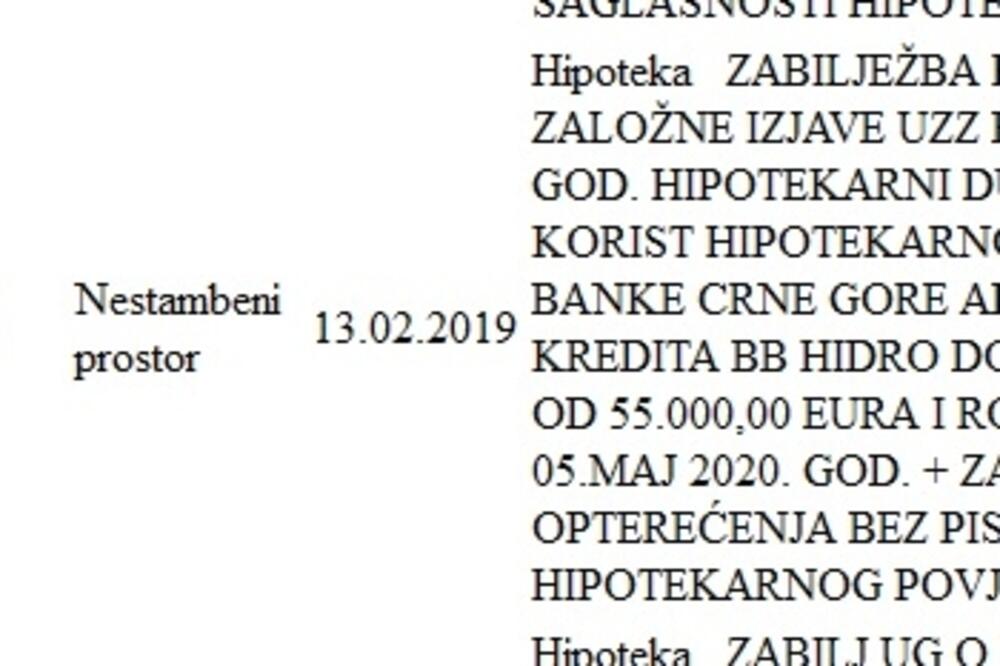 Izvod iz katastra za nekretnine Blaža Đukanovića