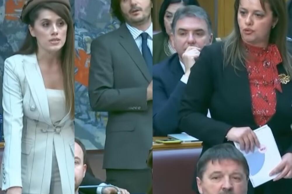 Poslanici DPS-a, Foto: Screenshot