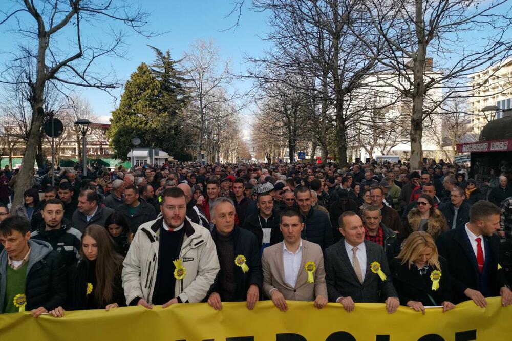Sa protesta u Nikšiću, Foto: Demokratska Crna Gora