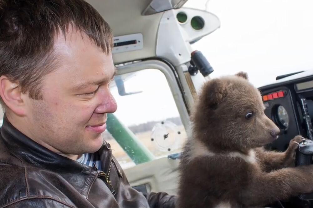 Medvjed u avionu, Foto: BBC