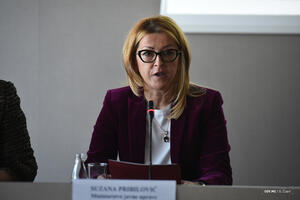 Pribilović: Moraju se otklanjati stereotipi da je crnogorska javna...