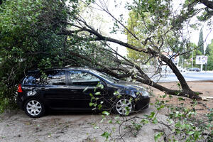 Oštećenje auta u nepogodama: Čije je drvo, on plaća štetu