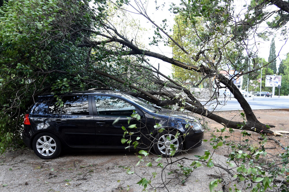 Drvo tokom olujnog vjetra palo na automobil u centru Podgorice, Foto: Boris Pejović