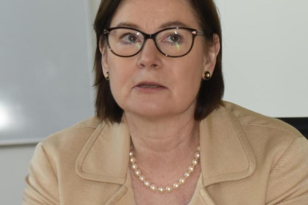 Džudi Rajzing Rajnke