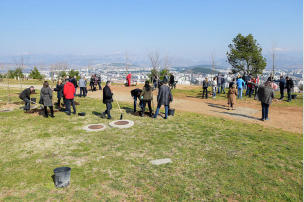 Ilustracija, Foto: EKIP