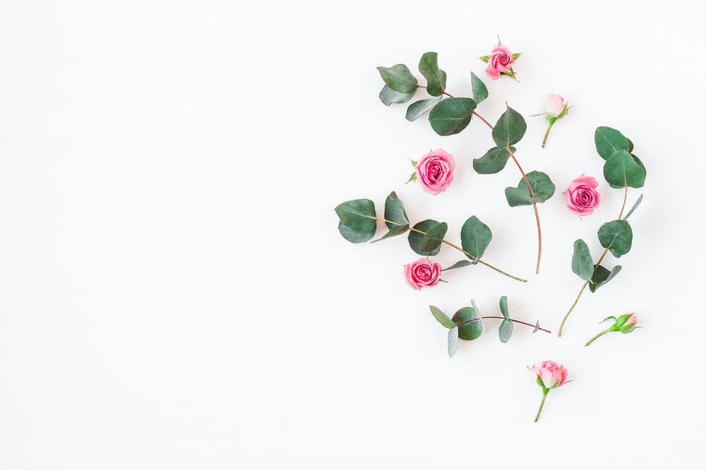 Ilustracija, Foto: Shutterstock