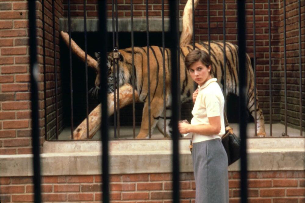 “Cat People”, 1982., Foto: Pinterest