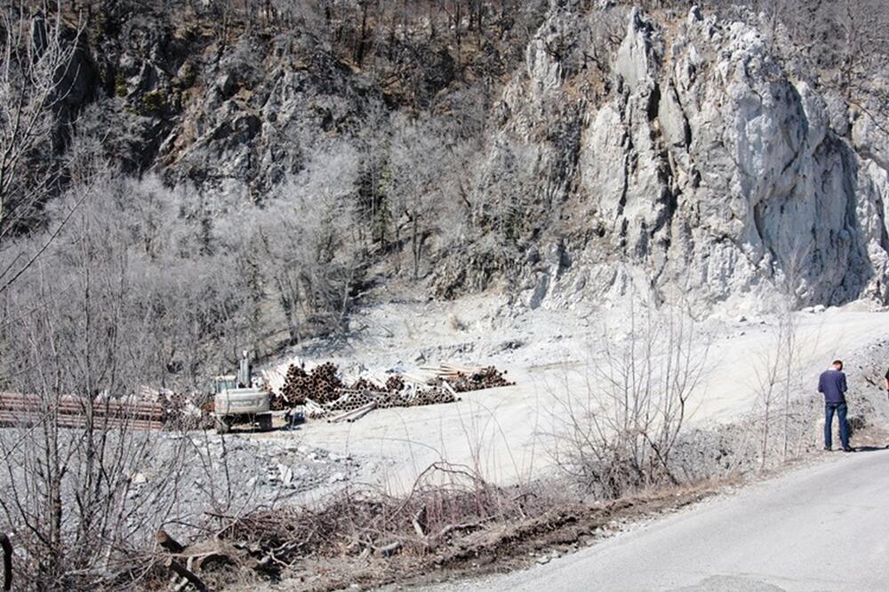 Tara, Foto: NVO Ozon