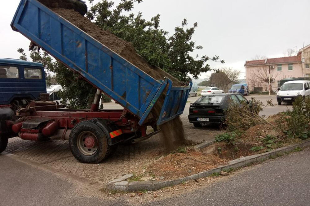 Sa jučerašnje akcije, Foto: Radomir Petrić