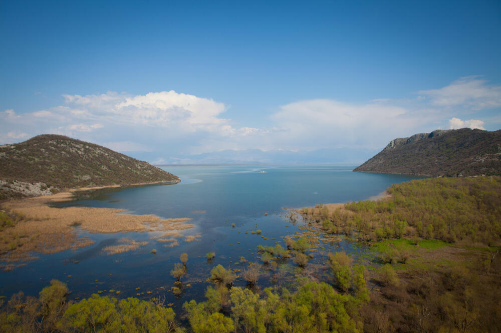 Skadarsko jezero, Foto: Nacionalni parkovi Crne Gore, Nacionalni parkovi Crne Gore