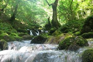 Imamo li obred za mrtvu rijeku?