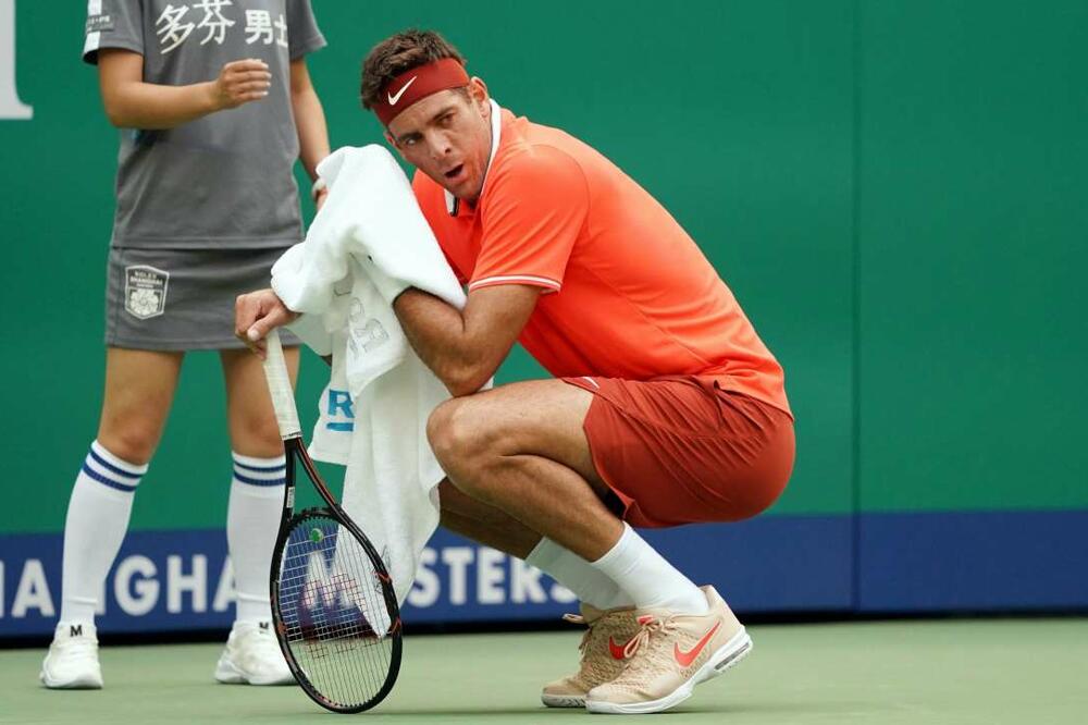 Huan Martin del Potro