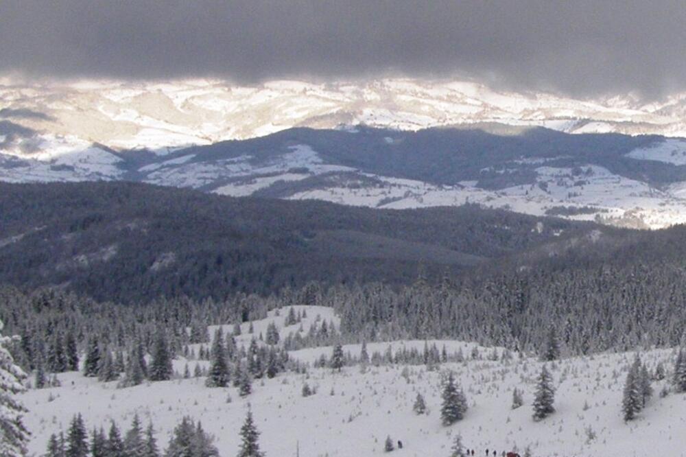 Hajla (Ilustracija), Foto: Jelena Jovanović