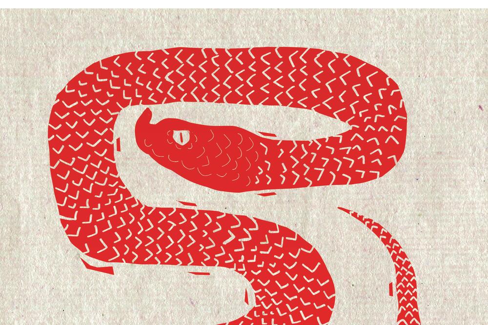 Veličanstveni poskokovi