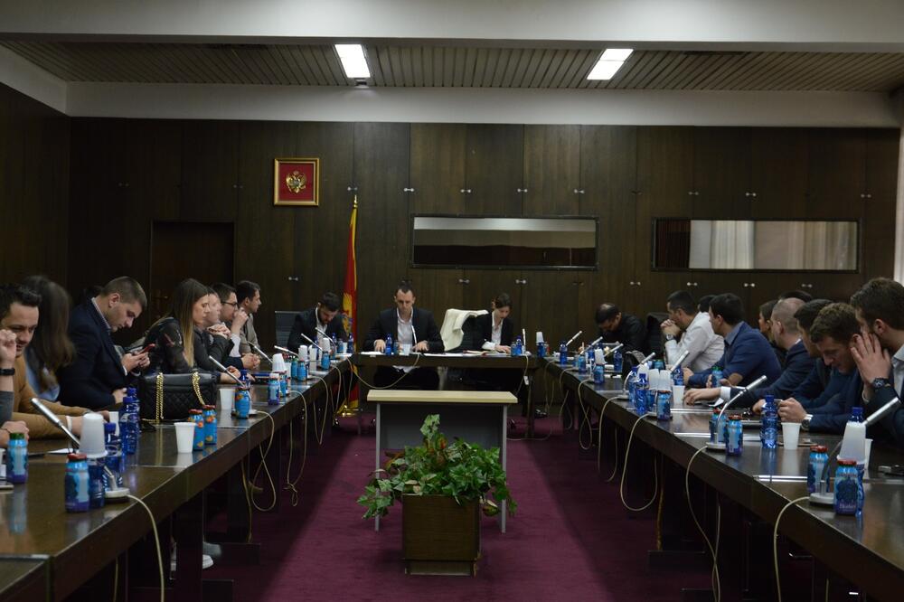 Sjednica Savjeta mladih DPS, Foto: DPS