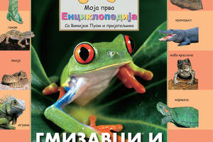 Saznajte da li zmije imaju uši, da li krokodil može da obori čak i...