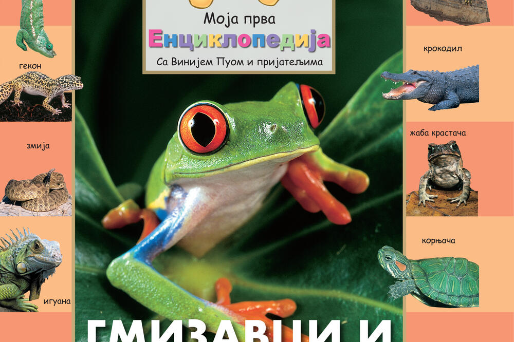 Moja prva enciklopedija sa Vini Puom i prijateljima, Foto: Vijesti