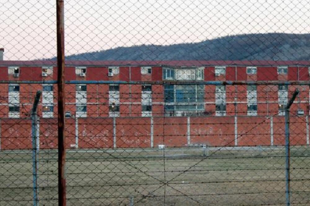 ZIKS, Foto: Filip Roganović