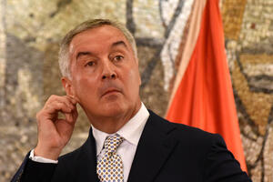 Milo, kak tebja zovut?!