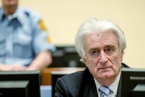 Radovan Karadžić: Konačna presuda za zločine u BiH