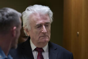 Karadžić osuđen na doživotnu kaznu zatvora