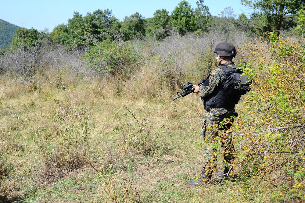 Srpski policajac na granici (ilustracija), Foto: Shutterstock