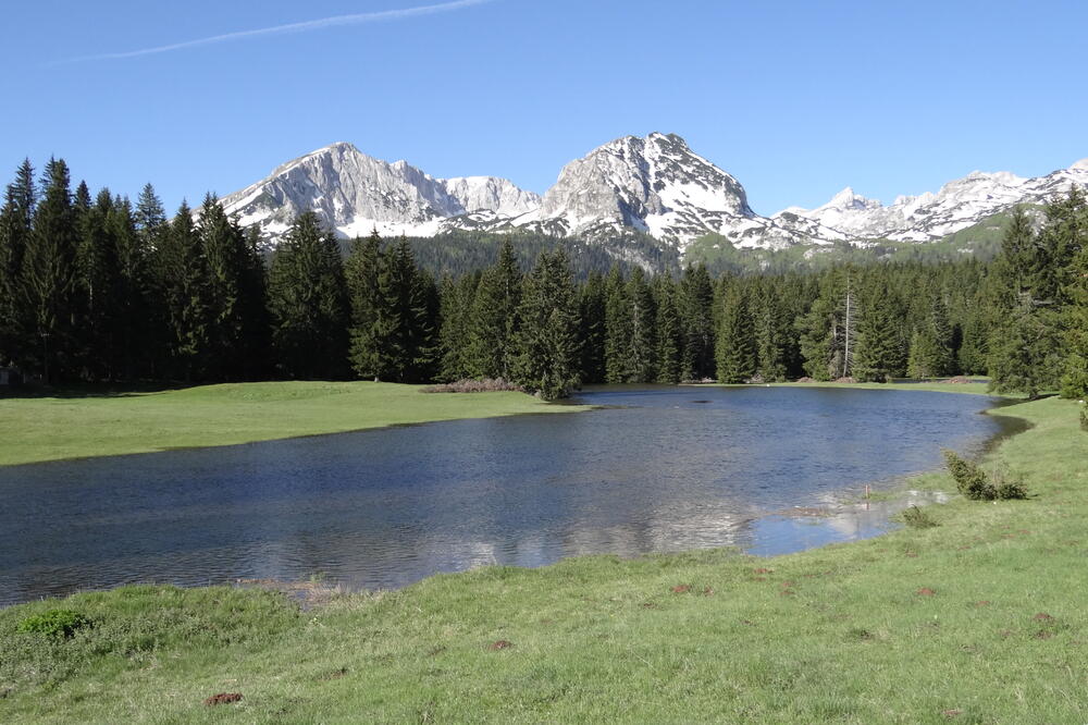 Ilustracija, Foto: Obrad Pješivac