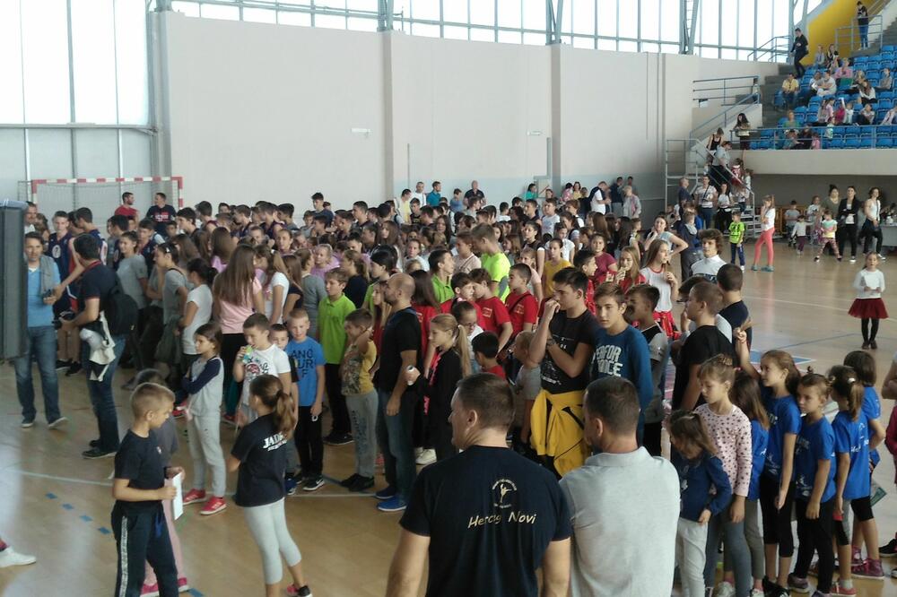 Ilustracija, Foto: Slavica Kosić