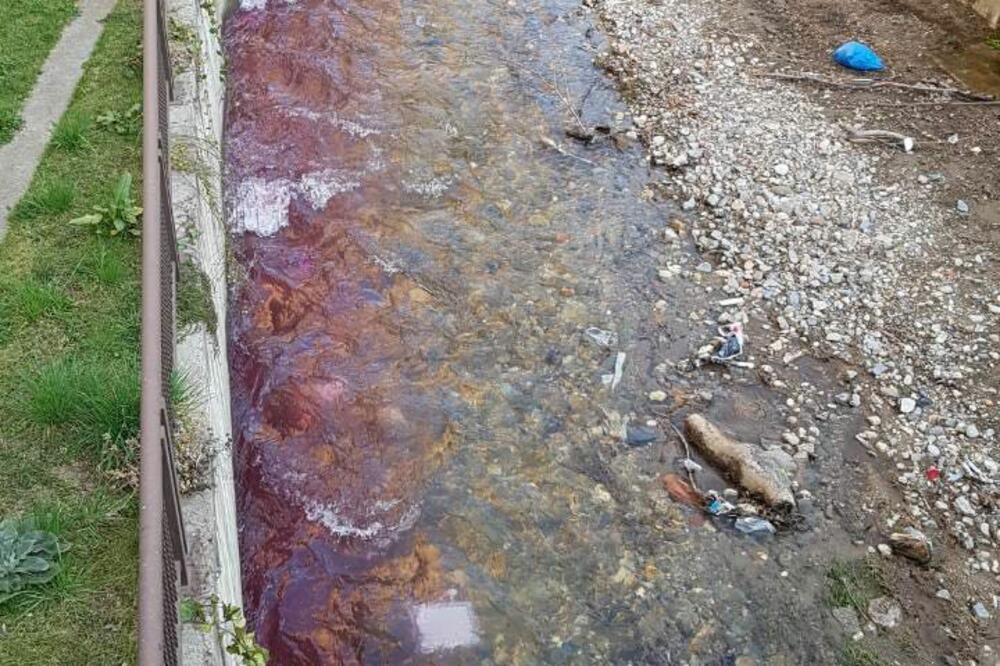 Crvena boja u rijeci, Foto: Jadranka Ćetković