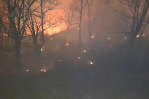 Za dva dana na teritoriji Crne Gore 130 požara