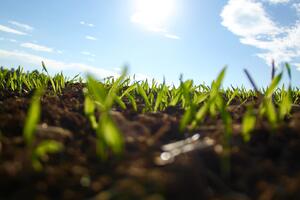 Danas sunčano, do 24 stepena