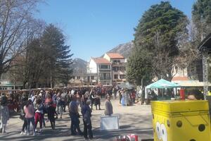 The 22nd Wine and Wine Festival in Virpazar was opened