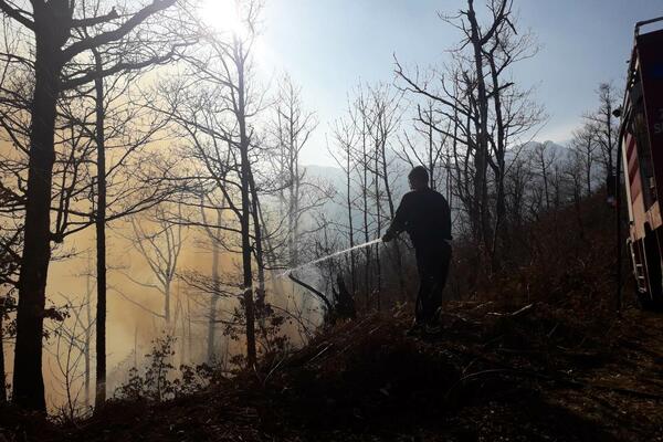 Proširio se požar u mjestu Seoce: Vatra zahvatila šumu i nisko rastinje