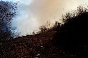 Požar u mjestu Seoce: Vatra se približila kućama