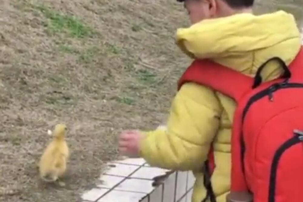 Kada na putu do škole sretnete neobičnog drugara, Foto: Printscreen