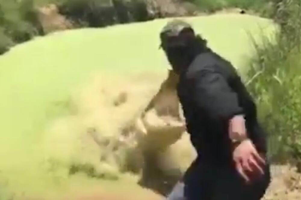Napad aligatora, Foto: Printscreen
