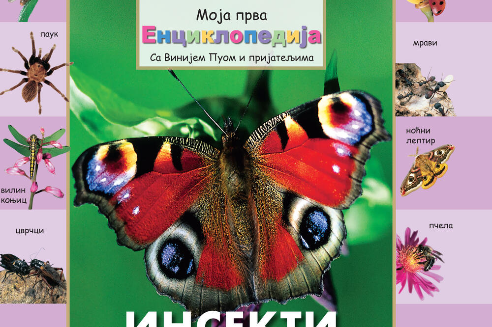 Insekti i pauci, Foto: Vijesti