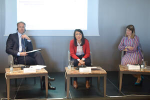 Ćalović Marković: Finansijeri partija daju novac za svoje interese