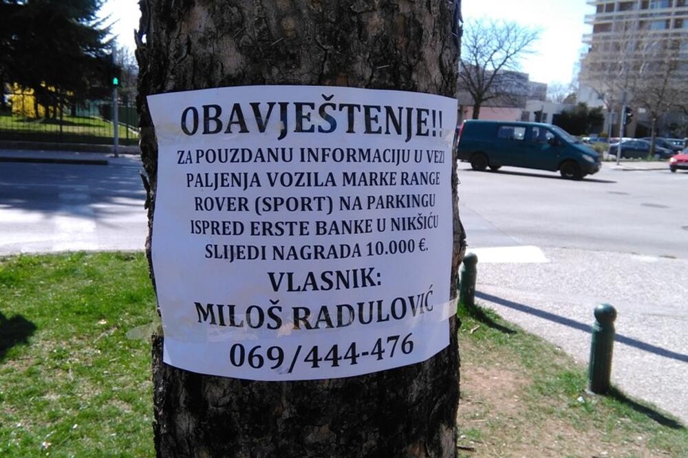 Radulović oblijepio cijeli grad, Foto: Svetlana Mandić