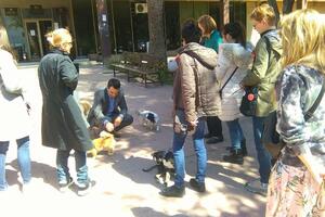 Protest aktivista zbog najave novog trovanja pasa u Baru
