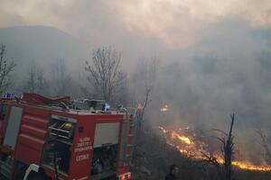Cetinje: Gori šuma u mjestu Obzovica, vatrogasci na terenu