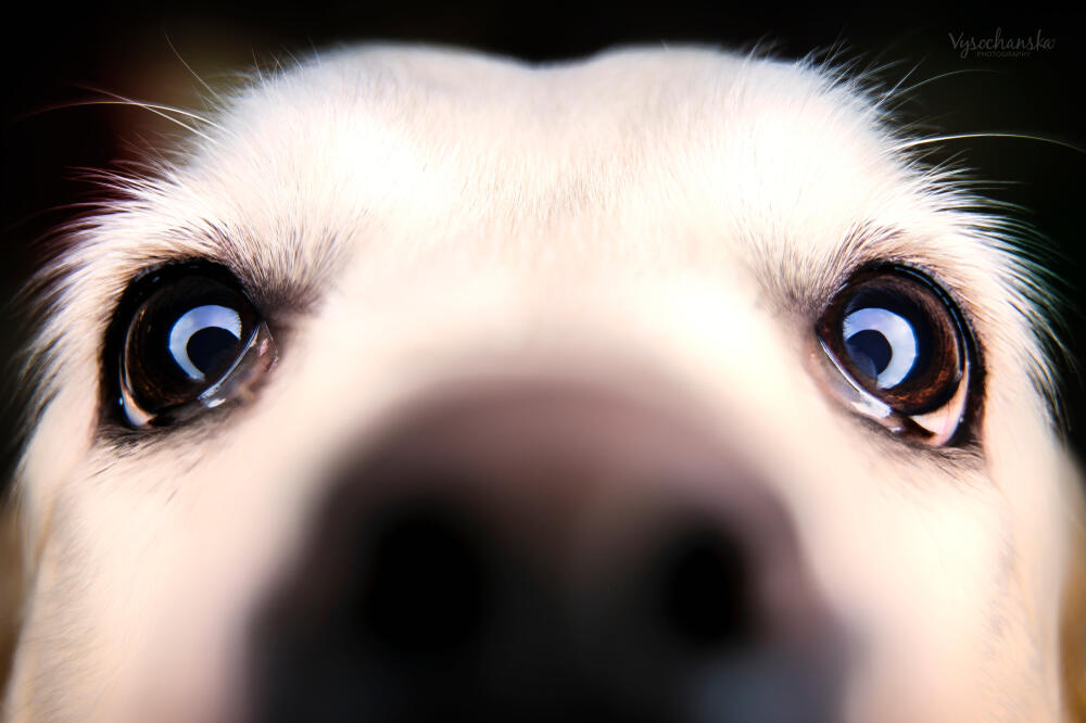 Ilustracija, Foto: Shutterstock